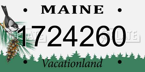 1724260 Maine License Plate