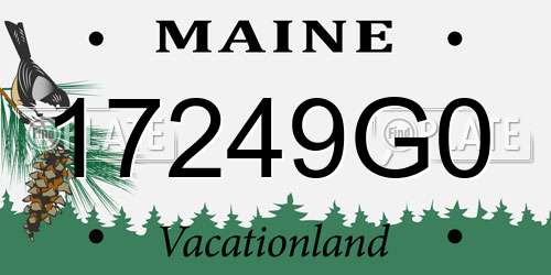 17249G0 Maine License Plate