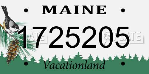 1725205 Maine License Plate