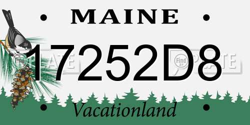 17252D8 Maine License Plate