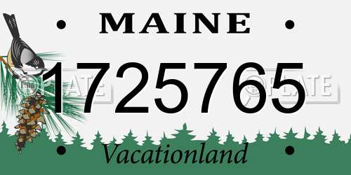 1725765 Maine License Plate