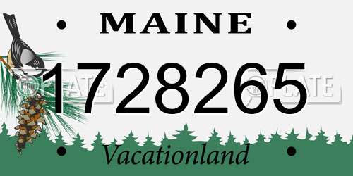 1728265 Maine License Plate