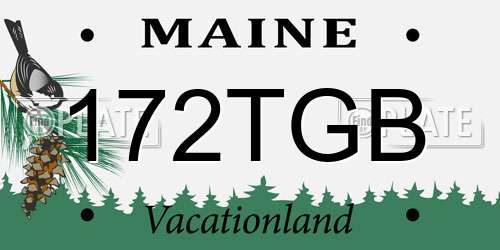 172TGB Maine License Plate