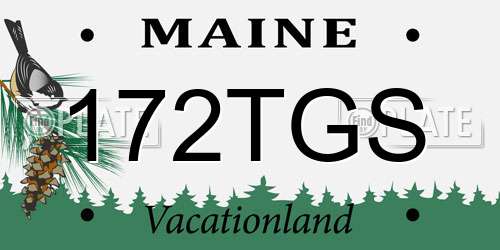 172TGS Maine License Plate