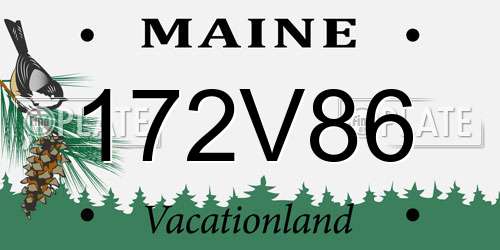 172V86 Maine License Plate