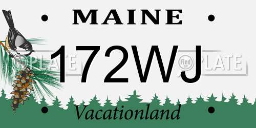 172WJ Maine License Plate