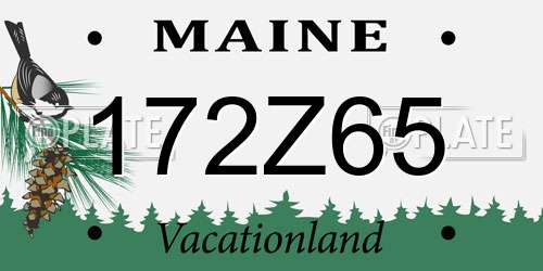 172Z65 Maine License Plate