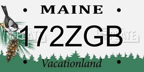 172ZGB Maine License Plate