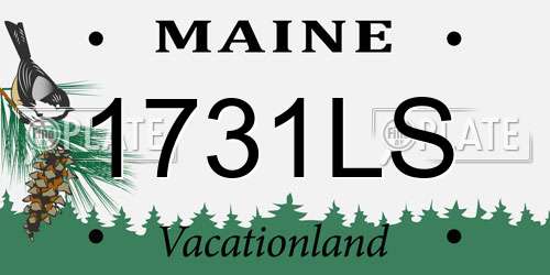 1731LS Maine License Plate