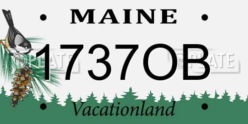 1737OB Maine License Plate