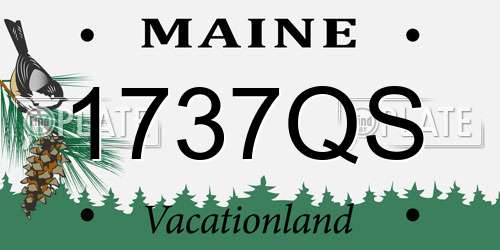 1737QS Maine License Plate