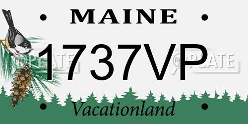1737VP Maine License Plate