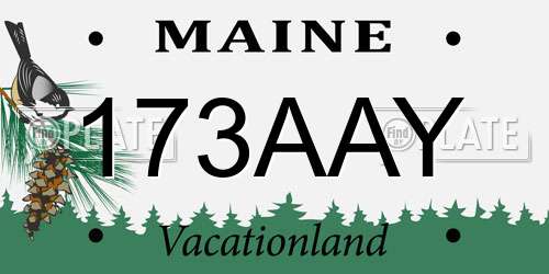 173AAY Maine License Plate