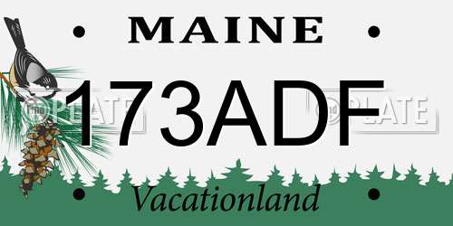 173ADF Maine License Plate