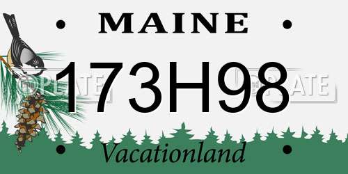 173H98 Maine License Plate