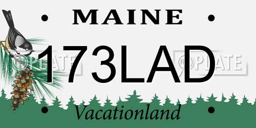 173LAD Maine License Plate