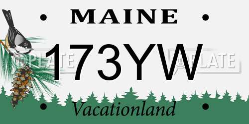 173YW Maine License Plate
