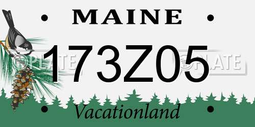 173Z05 Maine License Plate
