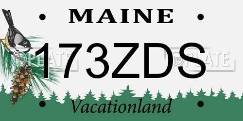 173ZDS Maine License Plate
