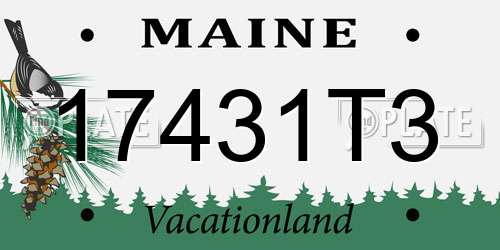 17431T3 Maine License Plate