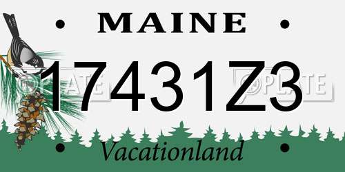 17431Z3 Maine License Plate