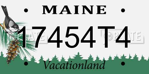 17454T4 Maine License Plate