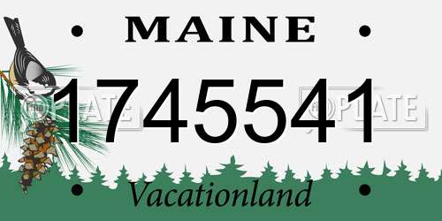 1745541 Maine License Plate