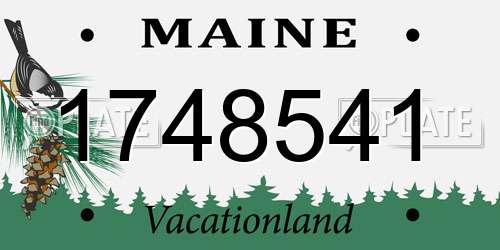 1748541 Maine License Plate