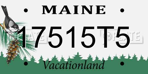 17515T5 Maine License Plate