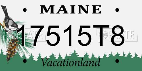 17515T8 Maine License Plate