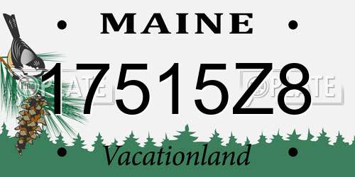 17515Z8 Maine License Plate
