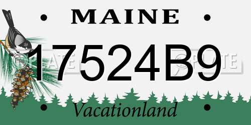 17524B9 Maine License Plate