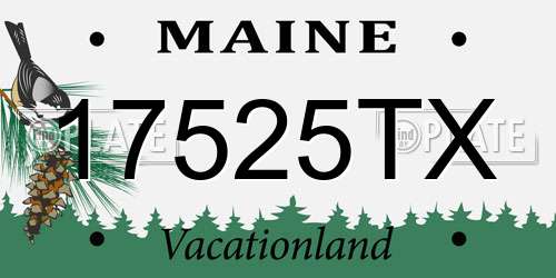 17525TX Maine License Plate
