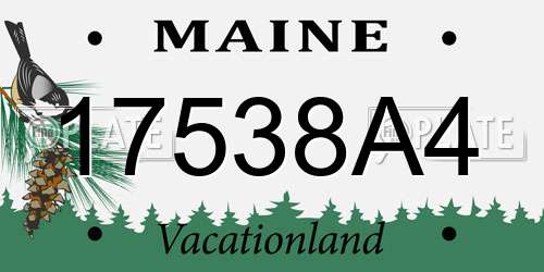 17538A4 Maine License Plate