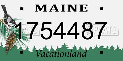 1754487 Maine License Plate