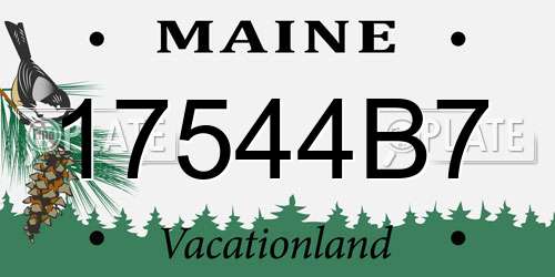 17544B7 Maine License Plate