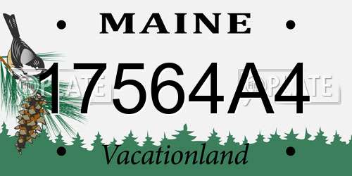 17564A4 Maine License Plate