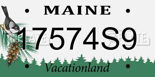 17574S9 Maine License Plate