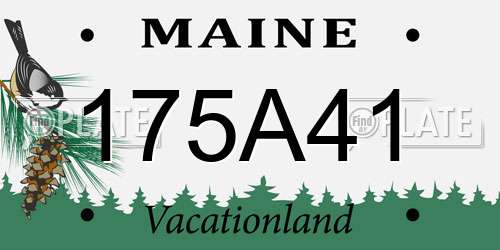 175A41 Maine License Plate
