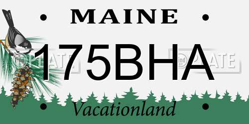 175BHA Maine License Plate