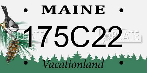 175C22 Maine License Plate