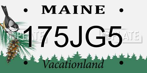 175JG5 Maine License Plate