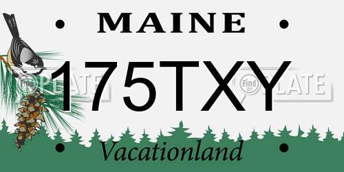 175TXY Maine License Plate