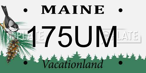 175UM Maine License Plate