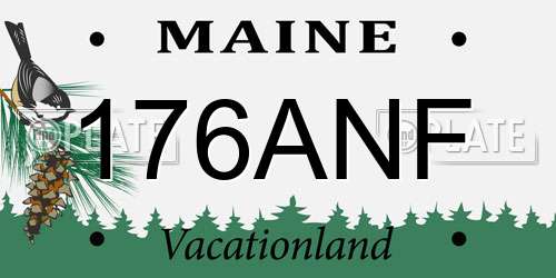 176ANF Maine License Plate