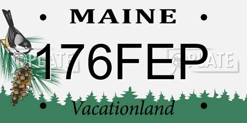 176FEP Maine License Plate