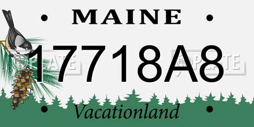17718A8 Maine License Plate