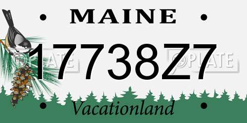 17738Z7 Maine License Plate