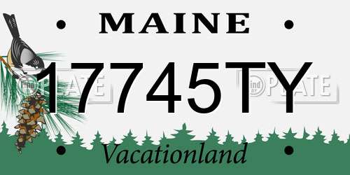 17745TY Maine License Plate