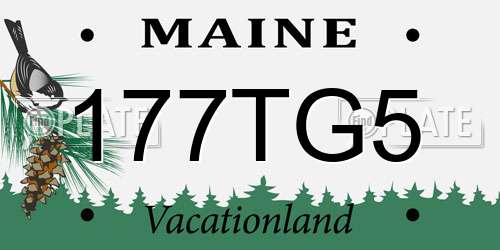 177TG5 Maine License Plate